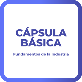 Cápsula Básica – Fundamentos de la Industria